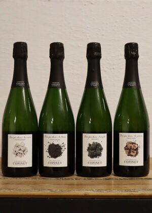 Marie Copinet<BR>Nos pas dans...