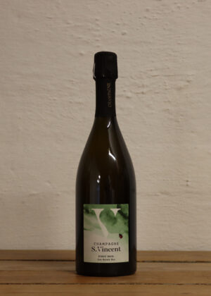 S. Vincent<BR>Les Saints Rys