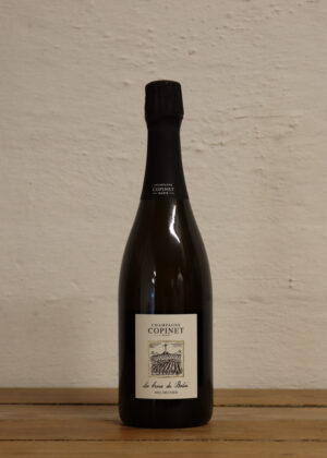 LA CROIX DU BALAI<br>Marie Copinet
